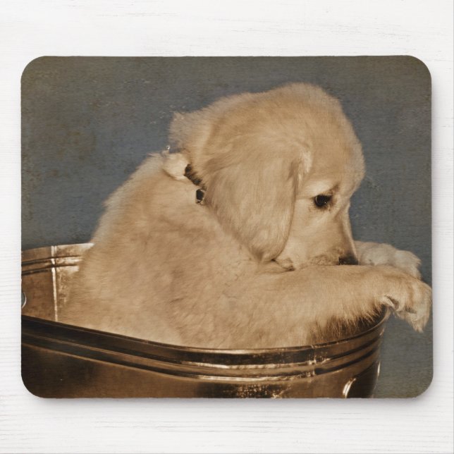 Förlåt... Musmatta (Framsidan)