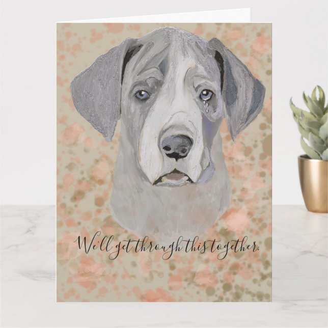 Förlåt. Vi går igenom det här tillsammans Kort (Liten växt)