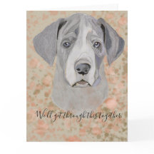 Förlåt. Vi går igenom det här tillsammans