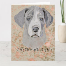 Förlåt. Vi går igenom det här tillsammans Kort