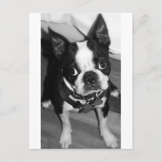 Förlåt Vykort (Framsida)