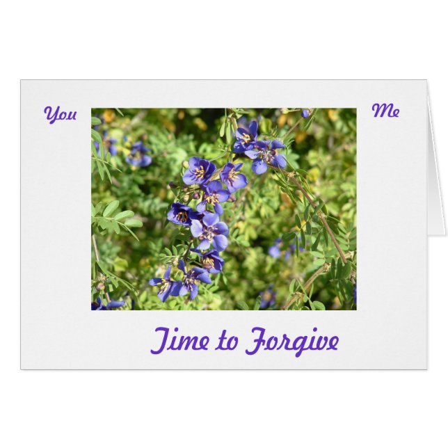 Förlåtelsekort Hälsningskort (Framsidan Horizontal)