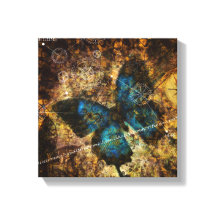 Förlikning av fjärilseffekten