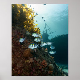 Förlisningen gömde bakom revet poster