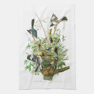 Förlöjliga fågelJohn James Audubon fåglar av Kökshandduk