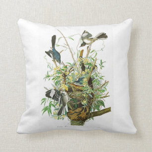 Förlöjliga fågelJohn James Audubon fåglar av Kudde