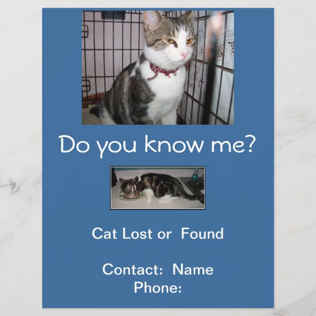 Förlorad eller Hitta Katt Brevlåda Folder Reklamblad (Framsidan)