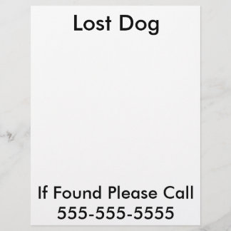 Förlorad Hund Affisch Reklamblad