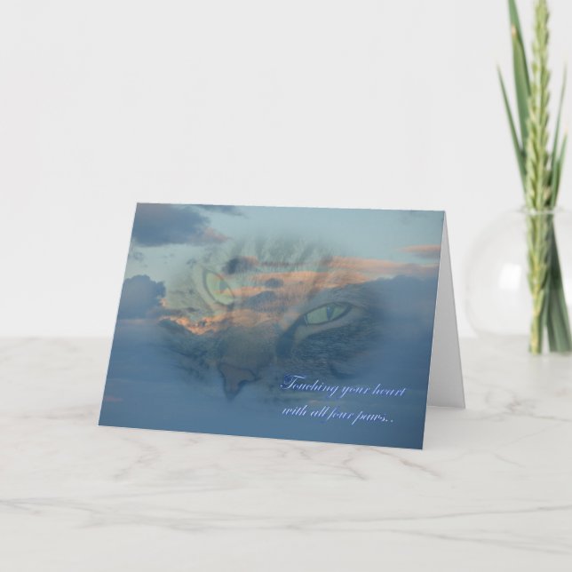 Förlorad katt. Förlust av ett husdjur. Medlidande Kort (Framsida)