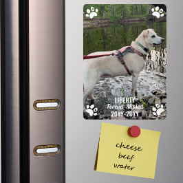Förlorad minnesmodern foto-Anpassningsbar för Pet- Magnet
