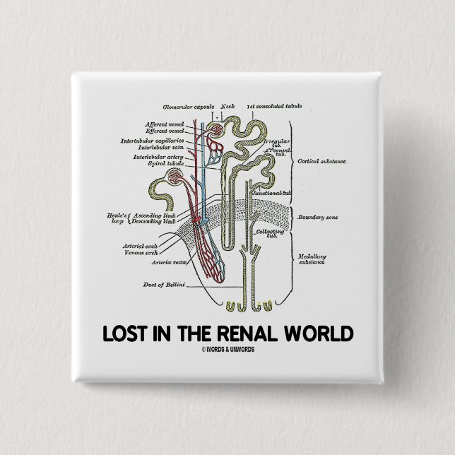 Förlorade i den Renal världen (njure Nephron) Knapp (Framsida)