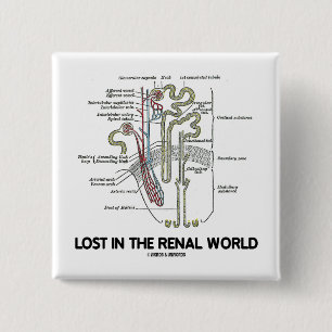 Förlorade i den Renal världen (njure Nephron) Knapp