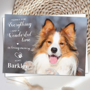 Förlorat tack för allt Hund Memorial Photo Kort