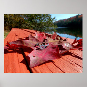Förlovning Ring på hösten Löv Poster