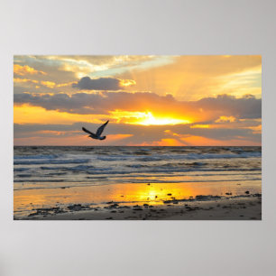 Förlovningförslagsoluppgång på strandaffischen poster