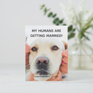 Förlovningsannons Anpassad fotohund vykort