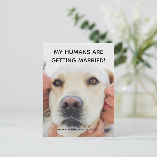 Förlovningsannons Anpassad fotohund vykort (Stående Fram)