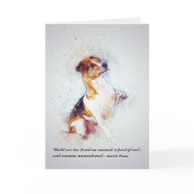 Förlust av älsklings- beställnings- sympati för