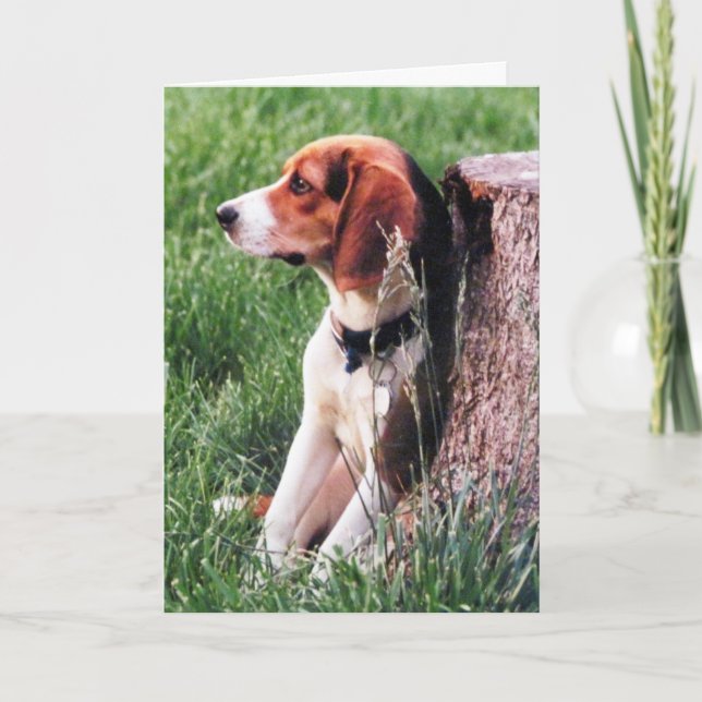 Förlust av Beloved Pet Friend Sympathy Card Kort (Framsida)