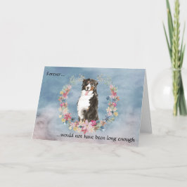Förlust av Bernese Mountain Hund Sympathy Card Helgkort
