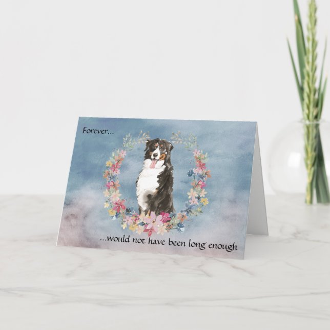 Förlust av Bernese Mountain Hund Sympathy Card Helgkort (Framsida)