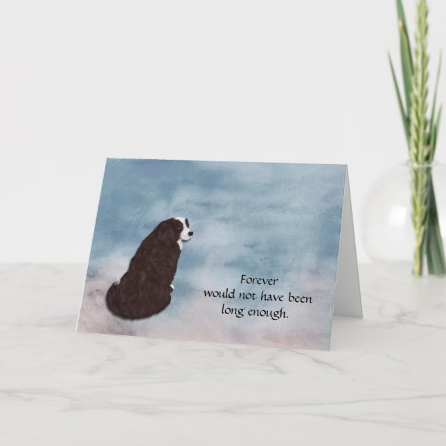 Förlust av Bernese Mountain Hund Sympathy Card Helgkort (Framsida)