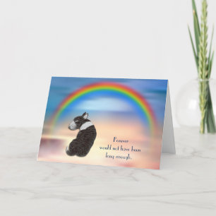 Förlust av Black White Bull Terrier Rainbow Sympat Helgkort