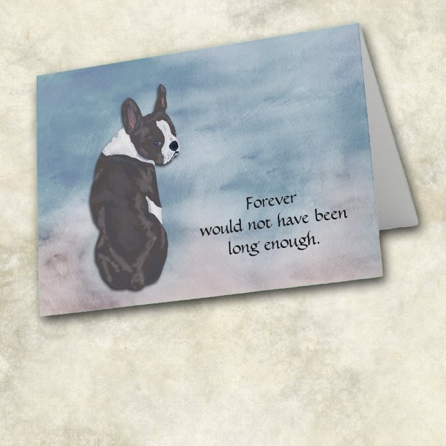 Förlust av Boston Terrier Condolence Sympathy Card Helgkort (Skapare uppladdad)