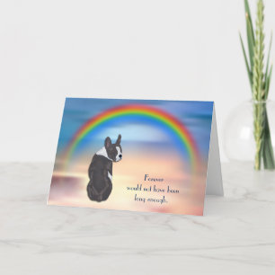 Förlust av Boston Terrier Rainbow Sympathy Card Helgkort