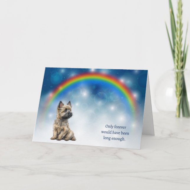 Förlust av Cairn Terrier Hund Natt Regnbåge Sympat Helgkort (Framsida)