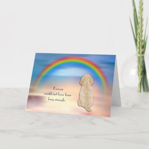 Förlust av Cockapoo Rainbow Sympathy Card Helgkort