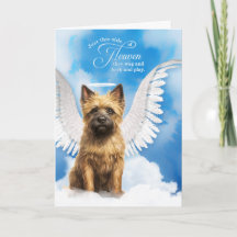 Förlust av en Hund i Kairn Terrier Angel Pet Sympa