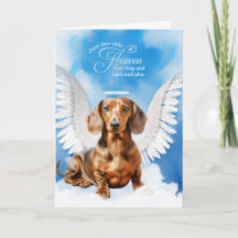Förlust av en Red Tan Dachshund Hund Pet Sympathy