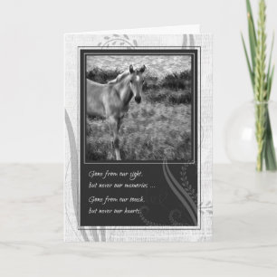 Förlust av horse Black and White Pet Sympathy Kort