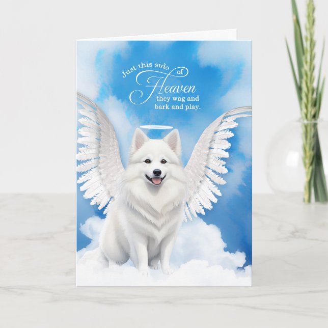 Förlust av Hund American Eskimo Angel Pet Sympathy Kort (Framsida)