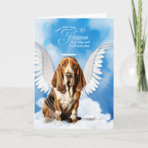 Förlust av Hund Basset Hound Pet Sympathy