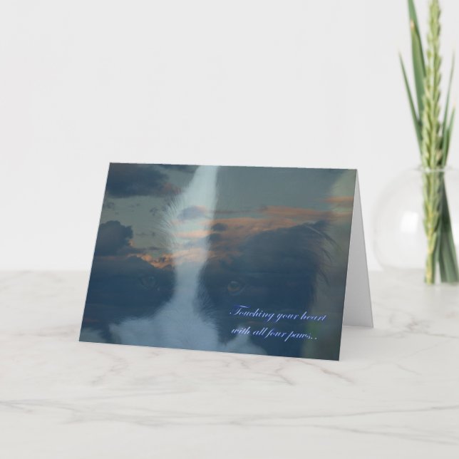 Förlust av hund. Förlust av ett husdjur. Medlidand Kort (Framsida)