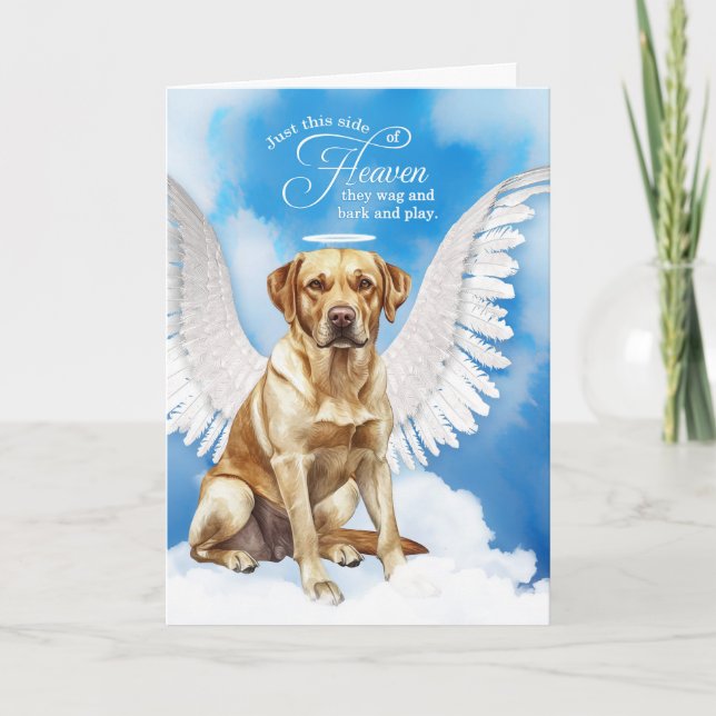 Förlust av hund Gul Labrador Retriever Husdjur Sym Kort (Framsida)