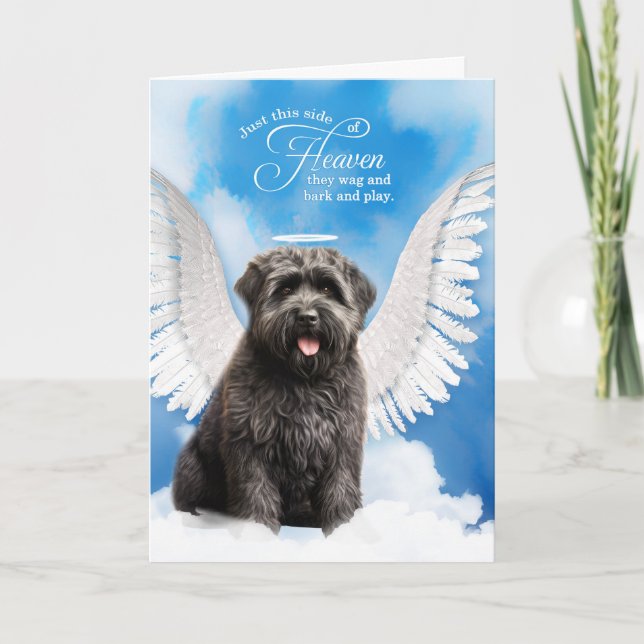 Förlust av Hund Pet Sympathy hos Bouvier de Flandr Kort (Framsida)