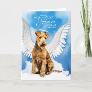 Förlust av Hund Pet Sympathy i Lakeland Terrier Kort