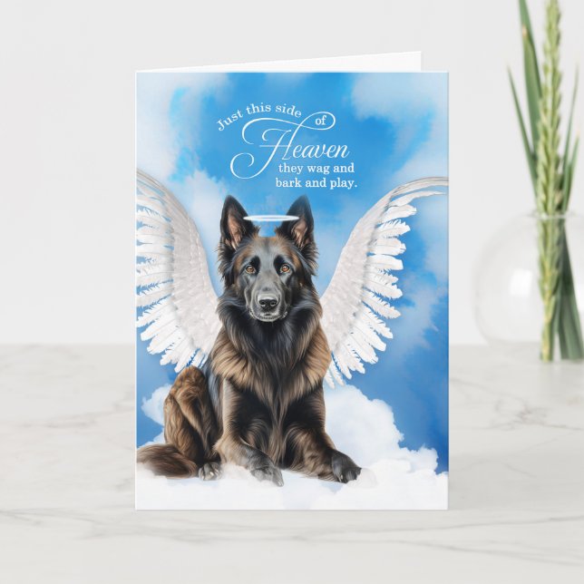 Förlust av Hund Tervuren Angel Pet Sympathy Kort (Framsida)