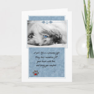 Förlust av Kat Siamese på Blue Pet Sympathy Kort