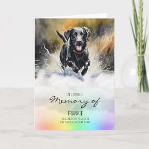 Förlust av labradors vattenfärg på sällskapsdjur m kort