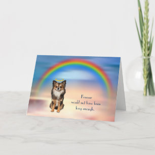 Förlust av Long Hair Chihuahua Rainbow Sympathy Ca Helgkort