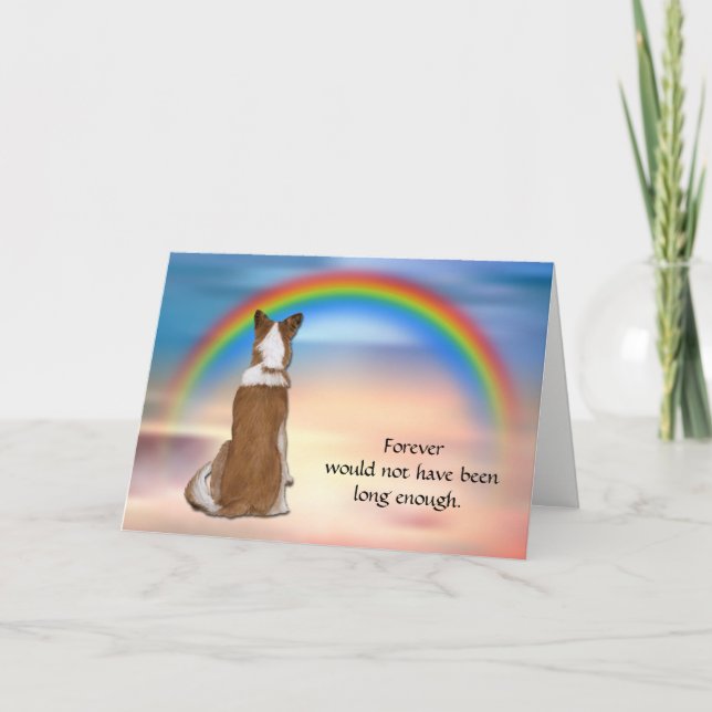 Förlust av röda Gräns Collie Rainbow Sympathy Card Helgkort (Framsida)