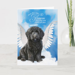 Förlust av svart labradoodle Hund Pet Sympati Kort