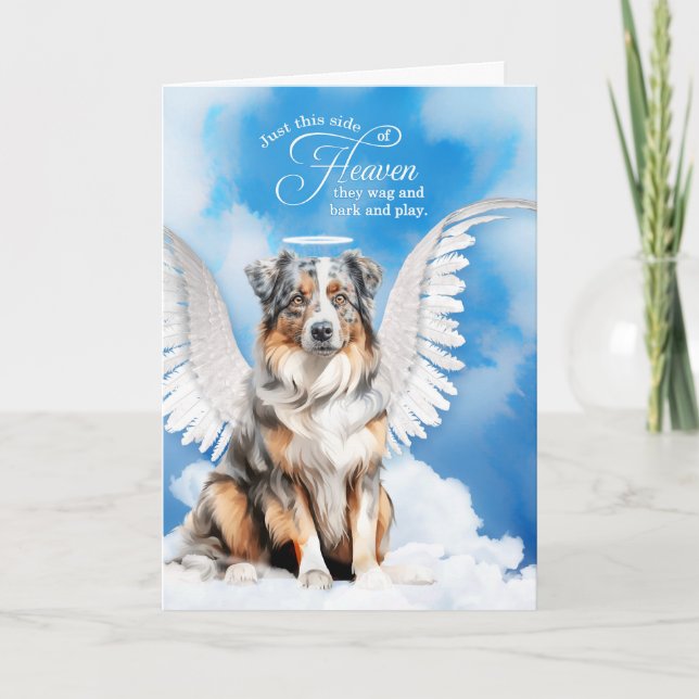 Förlust av sympati hos Australian shepherd Pet Sym Kort (Framsida)