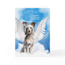 Förlust av sympati hos kinesisk bestulen Hund