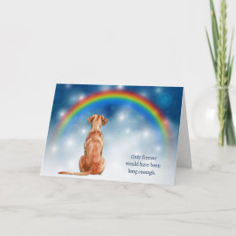 Förlust av Vizsla Hund Nattljus Sympati Helgkort