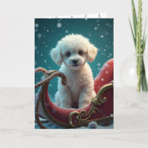 Förlusten av en sällskapsdjur hund vid jul